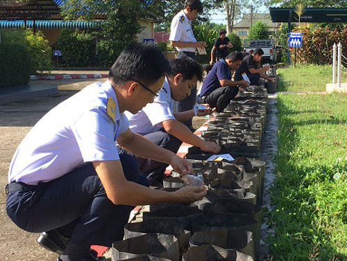 ปลูกดอกดาวเรืองเพื่อใช้ประดับสถานที่ในช่วงงานพระราชพิธีถวายพระเพลิง